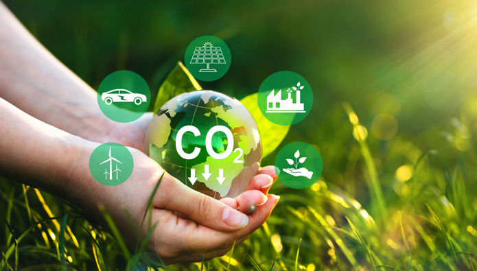 How to reduce the carbon footprint of your business