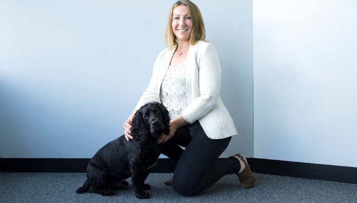 Workplace pet: Marv the cocker spaniel